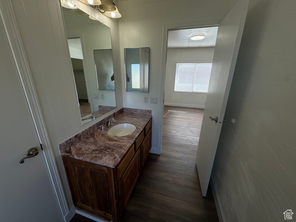 Bathroom with wood finished floors and vanity