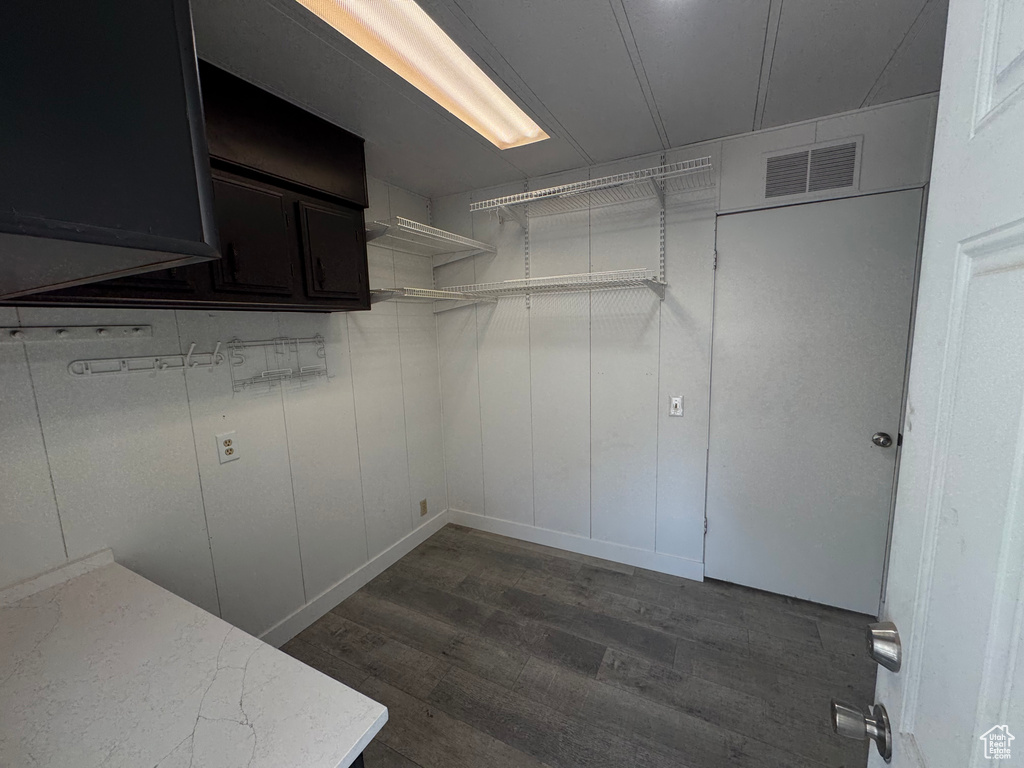 Spacious closet with dark wood finished floors