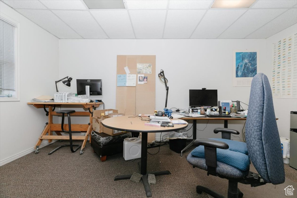 Home office featuring a drop ceiling and carpet floors