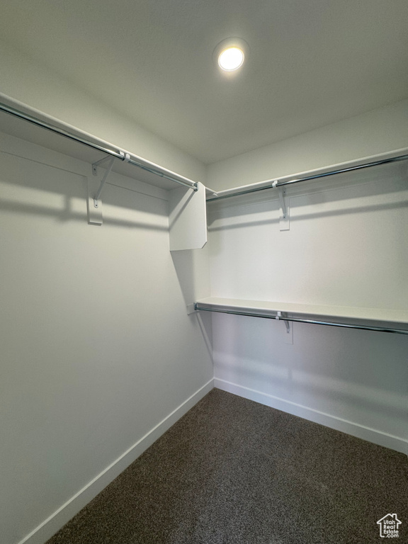 Spacious closet featuring dark colored carpet