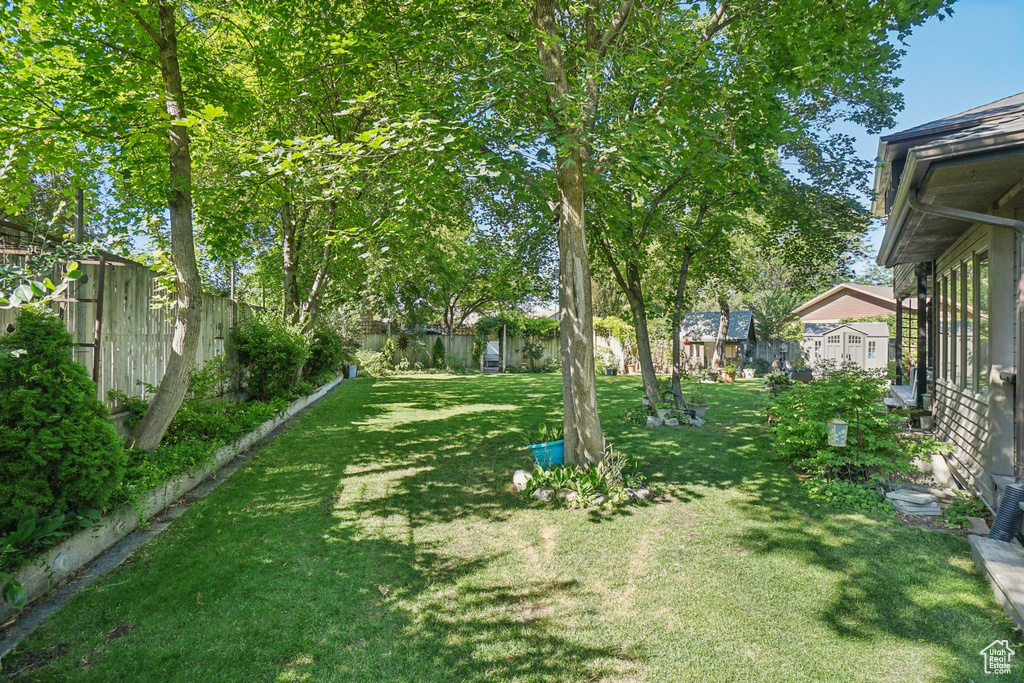 View of fenced backyard