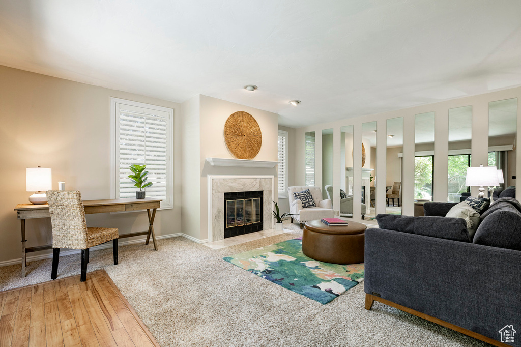 Living area featuring a fireplace and wood finished floors
