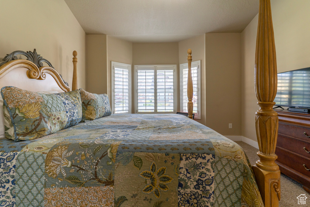 10296 S SALMON DR South Jordan, UT 84095