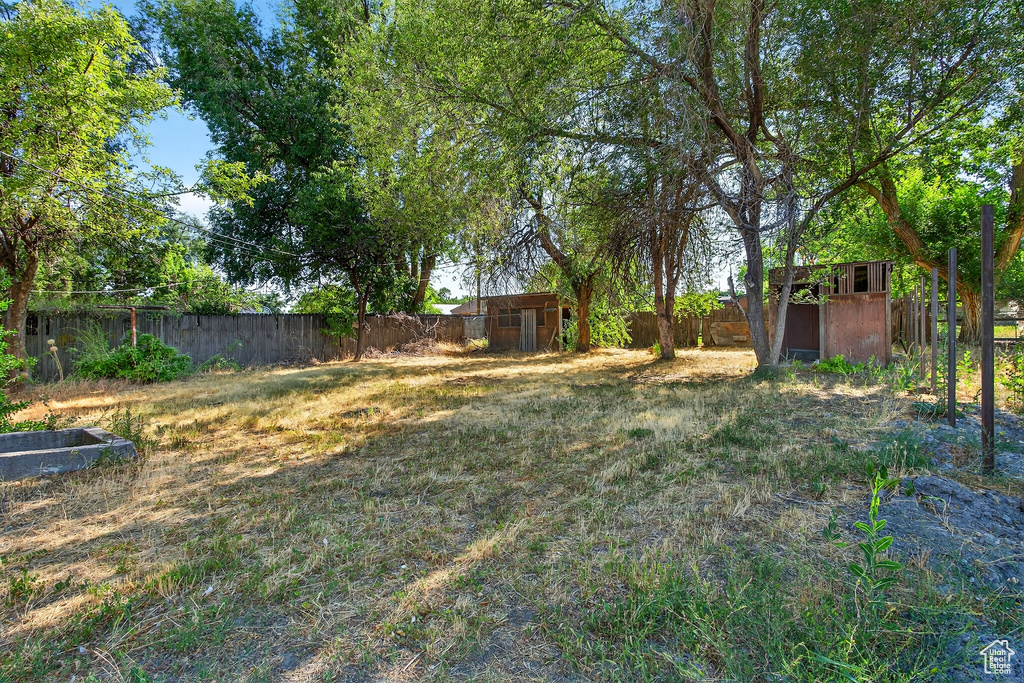 View of yard with a shed