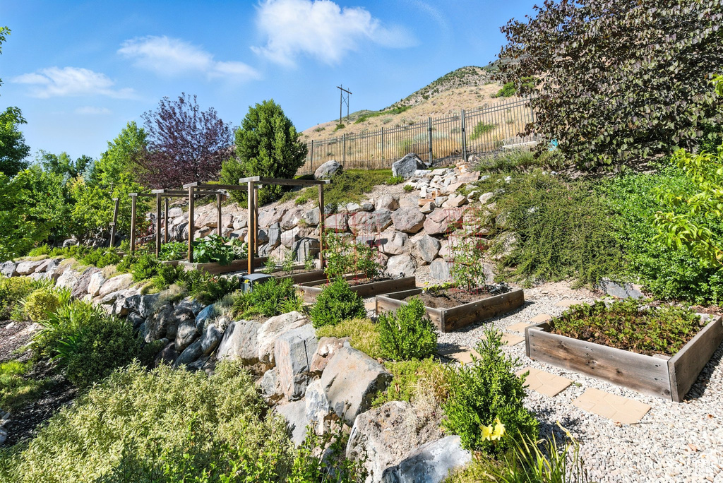 View of yard featuring a garden
