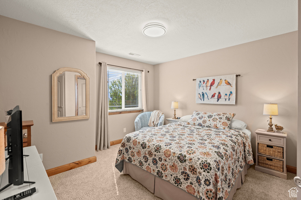 Bedroom with carpet flooring and a textured ceiling