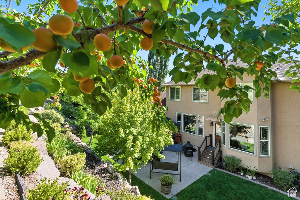 View of yard featuring a patio and entry steps