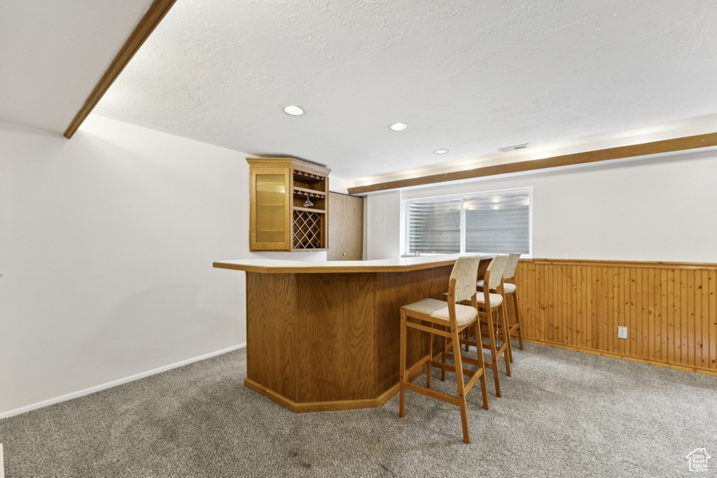 Indoor dry bar featuring carpet flooring, wainscoting, wooden walls, and recessed lighting