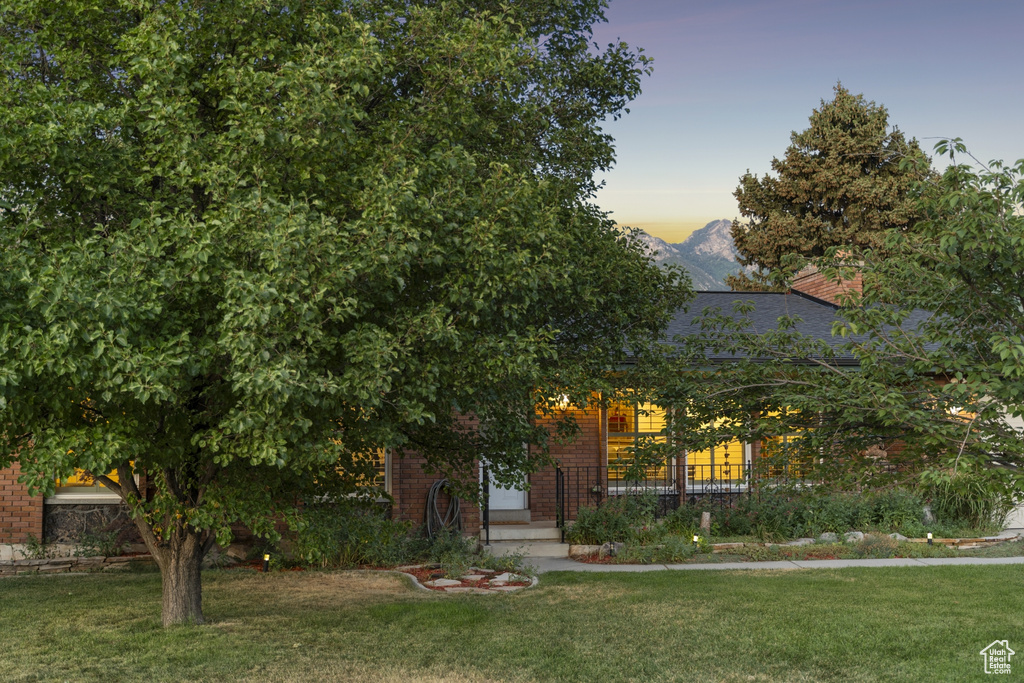 Obstructed view of property with a lawn