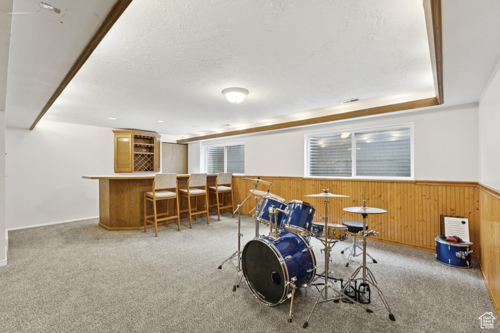 Recreation room with a dry bar, a wainscoted wall, wooden walls, a textured ceiling, and carpet flooring