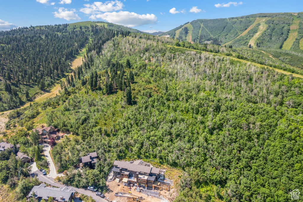 Mountain view with a forest