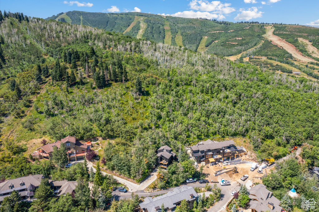 View of property location with a heavily wooded area and mountains