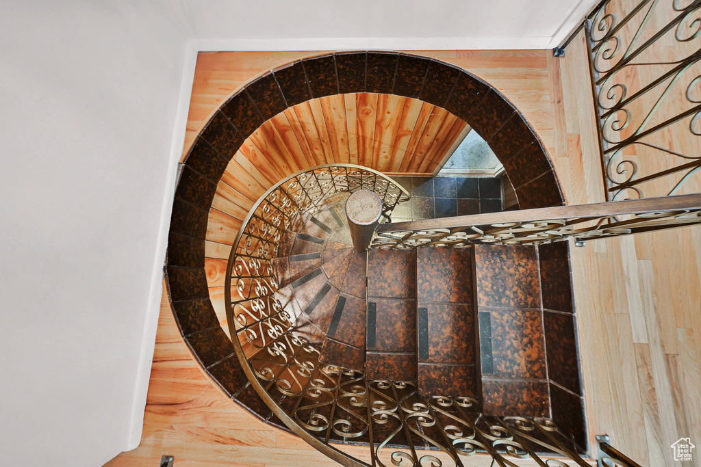 View of stairway