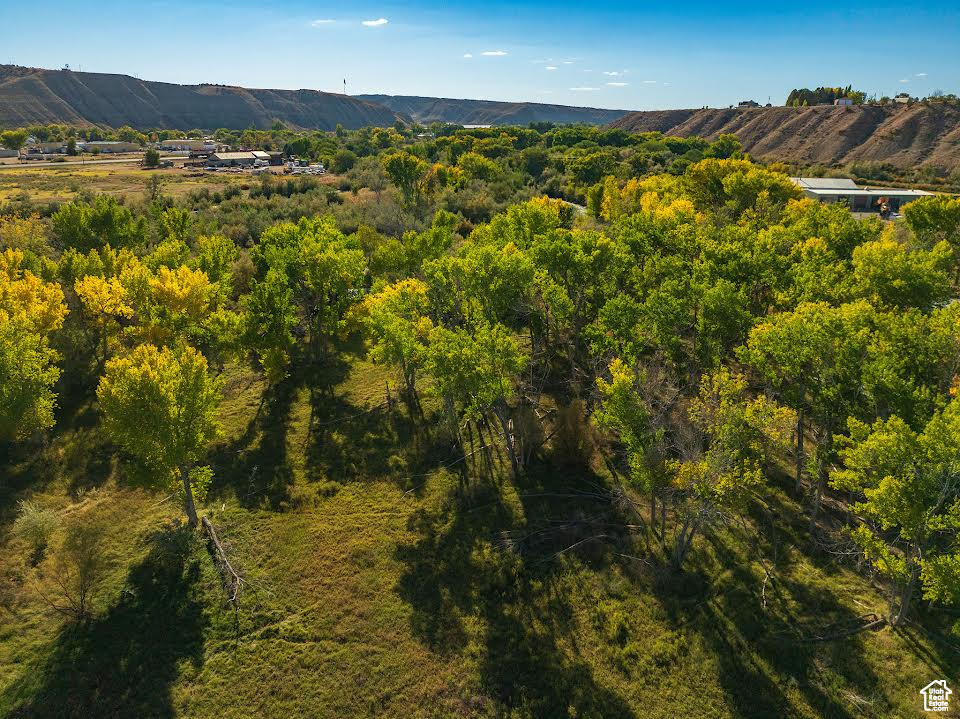 20673 W EAST RIVER RD Duchesne, UT 84021