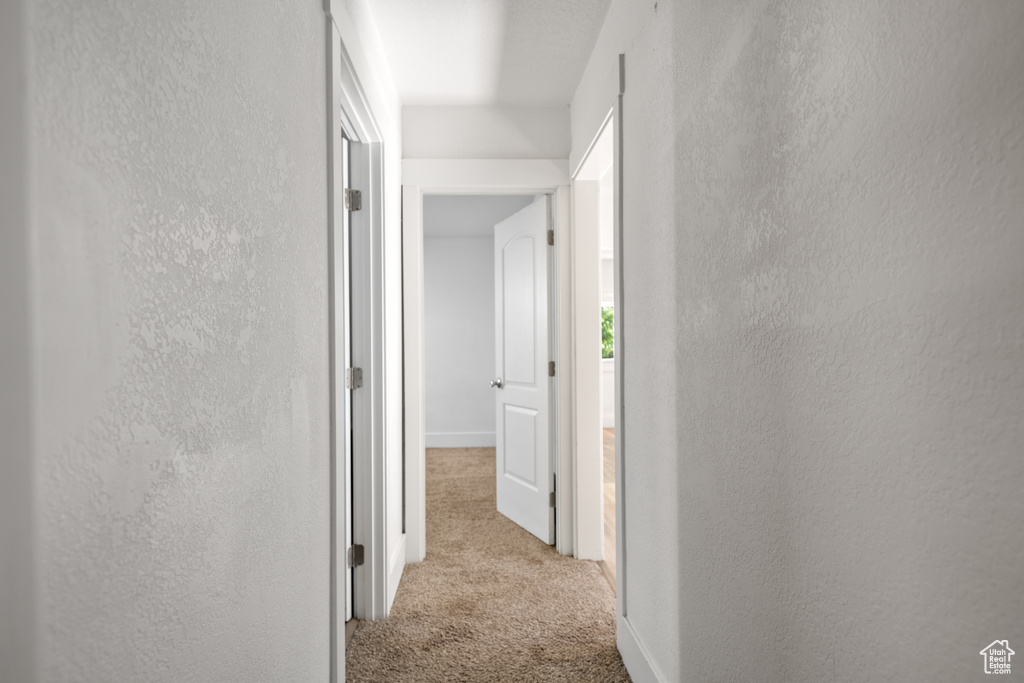Hallway with carpet floors and a textured wall