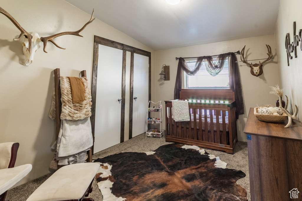 Carpeted bedroom with lofted ceiling
