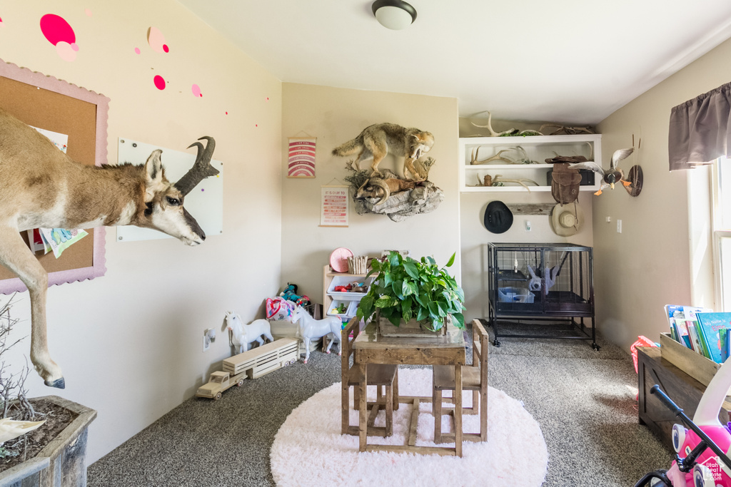 View of carpeted living area