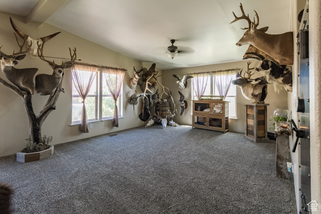 Exercise area with healthy amount of natural light, carpet, and a ceiling fan