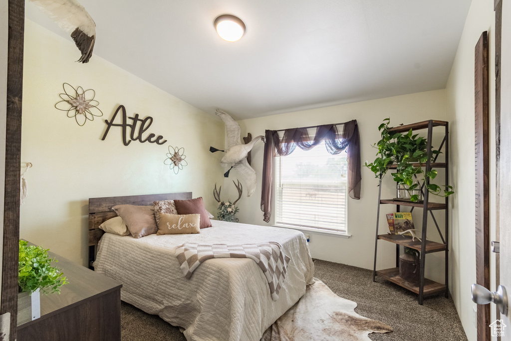 Bedroom featuring carpet