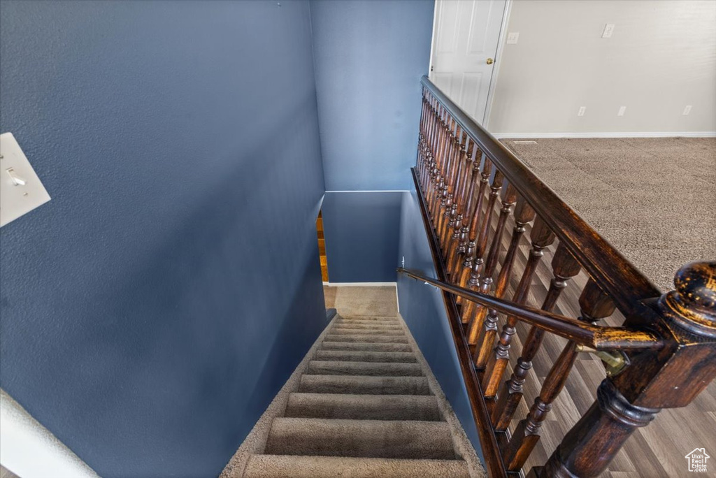 Staircase featuring baseboards and carpet flooring