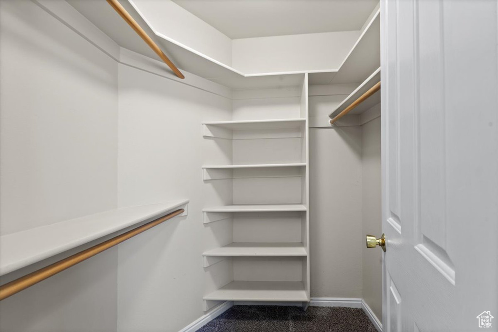 View of walk in closet