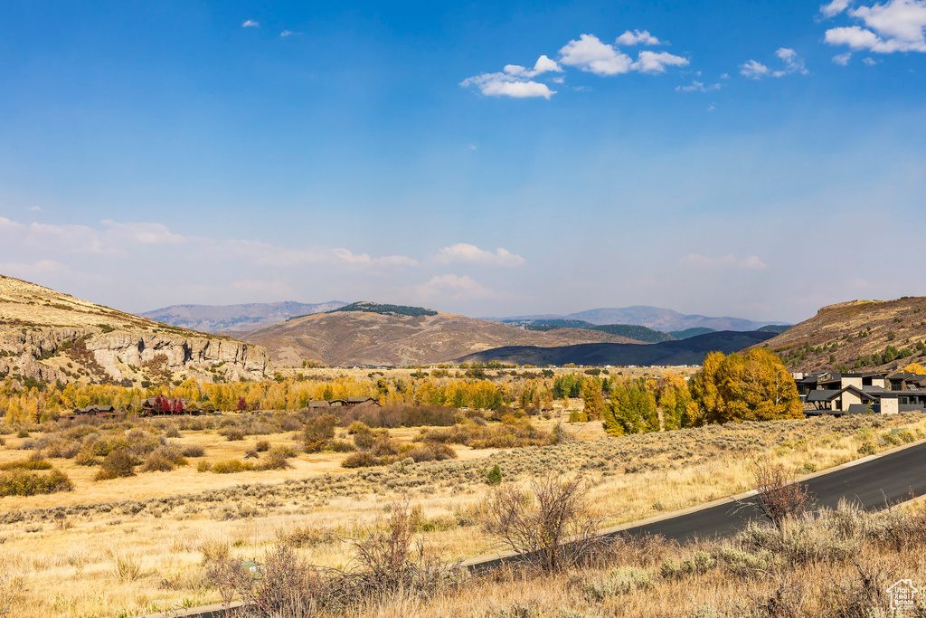 Mountain view