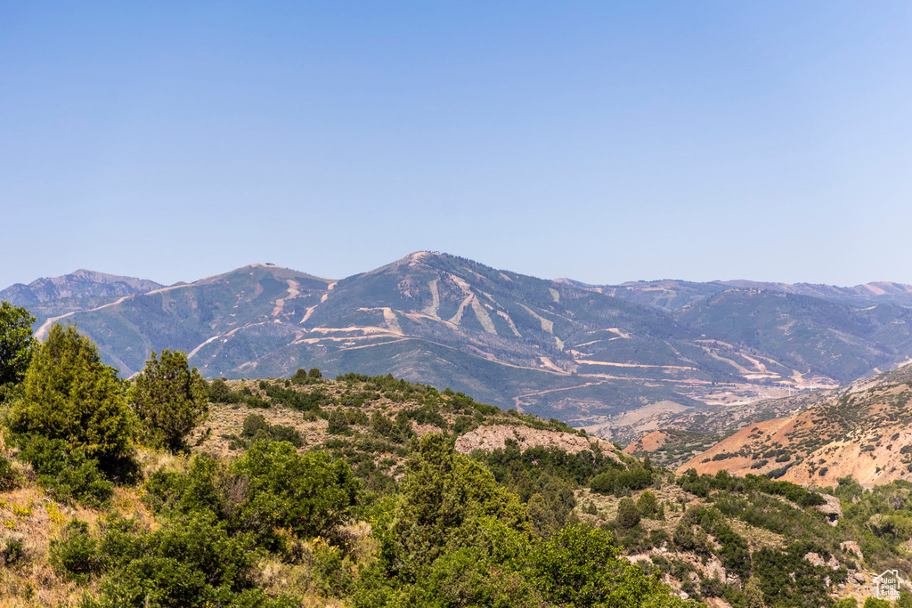 View of mountain background