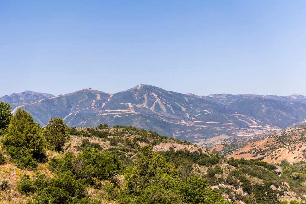 6050 E GREEN DRAKE DR Heber City, UT 84032