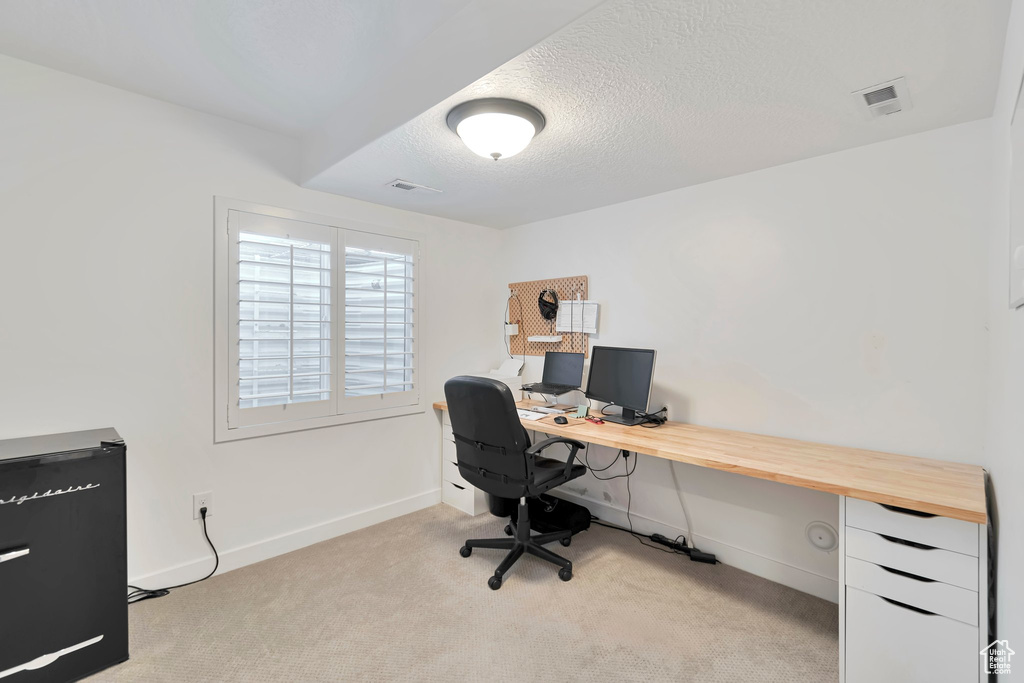 Office space featuring light colored carpet and a textured ceiling