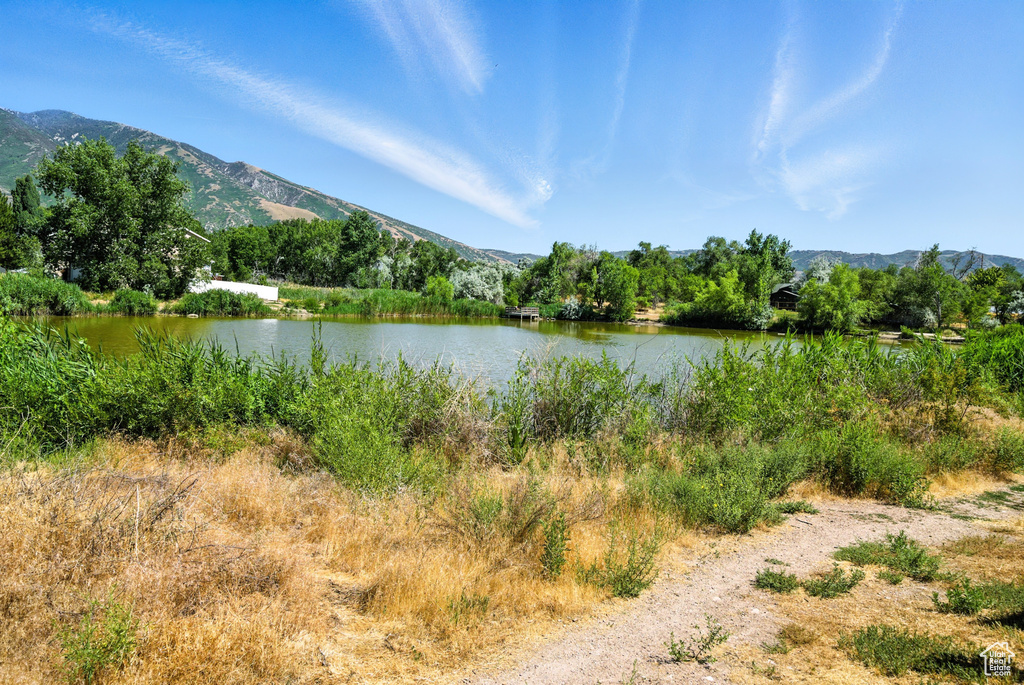 11803 BURKWOOD LN Draper, UT 84020