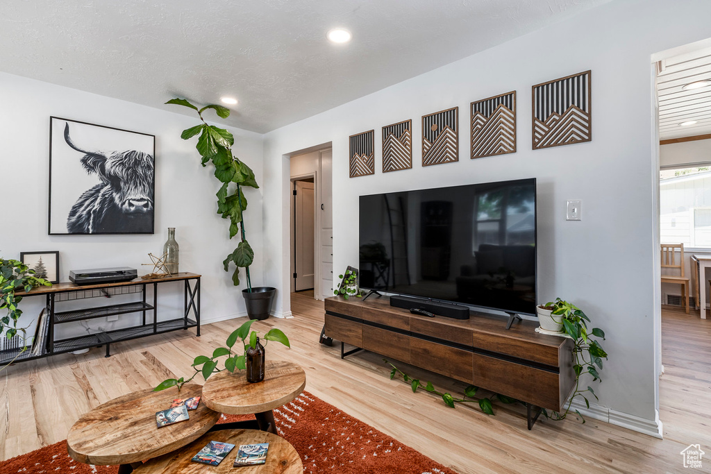 Living room featuring wood finished floors and recessed lighting