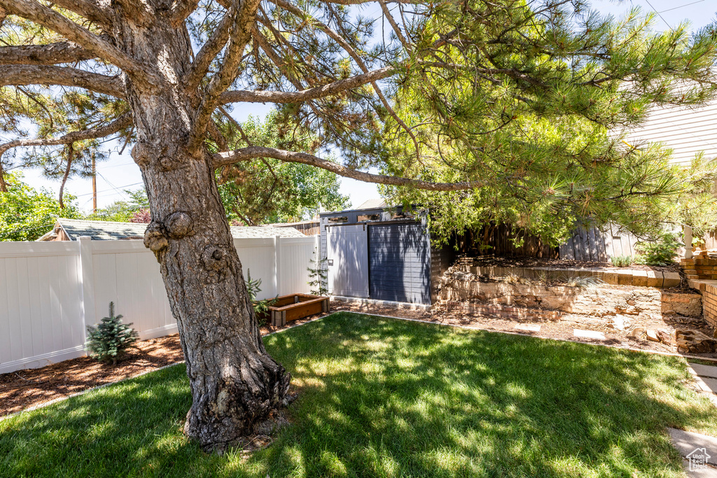 Fenced backyard with a storage shed