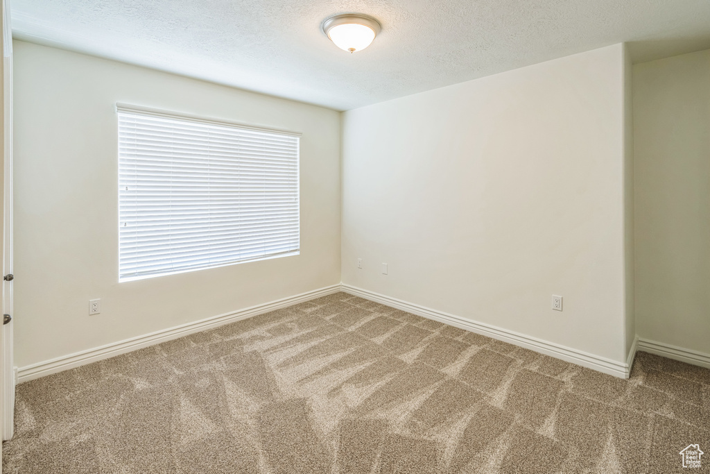 Unfurnished room with carpet floors and a textured ceiling