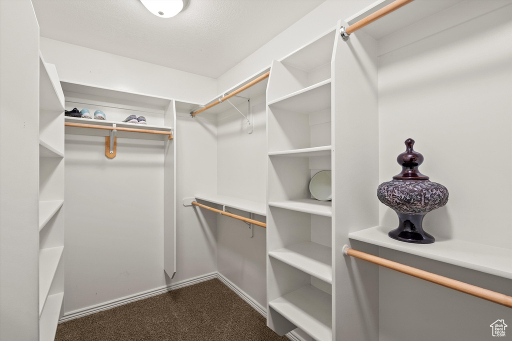 Walk in closet with dark colored carpet