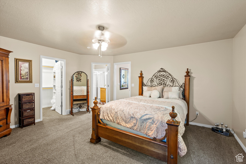 Carpeted bedroom with a spacious closet, ceiling fan, and ensuite bathroom