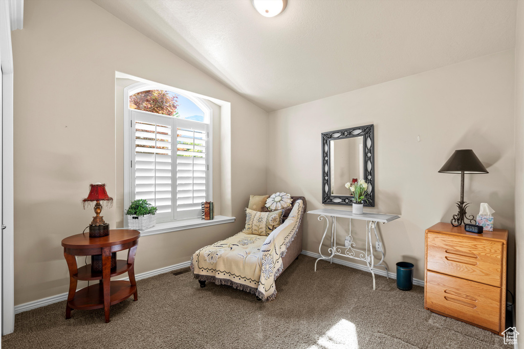Sitting room featuring vaulted ceiling and carpet