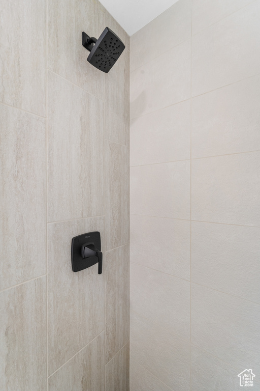 Bathroom view of a tile shower