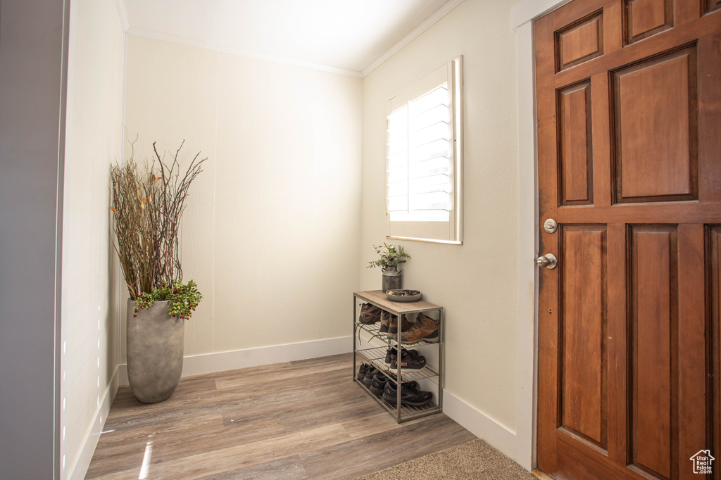 Entryway with crown molding and light wood-style floors