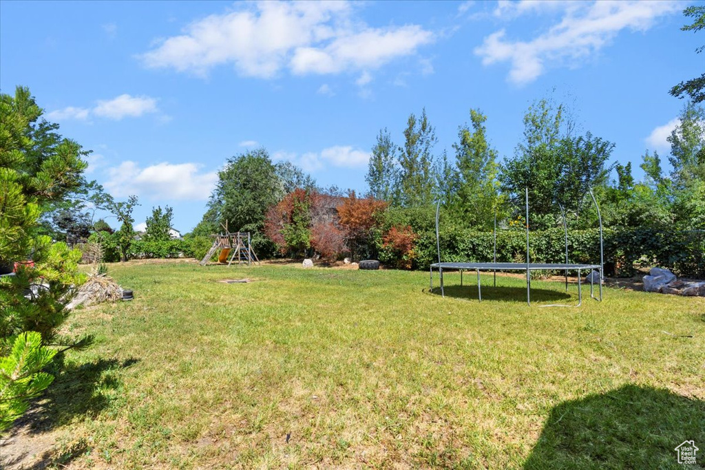 View of grassy yard featuring a trampoline and a playground