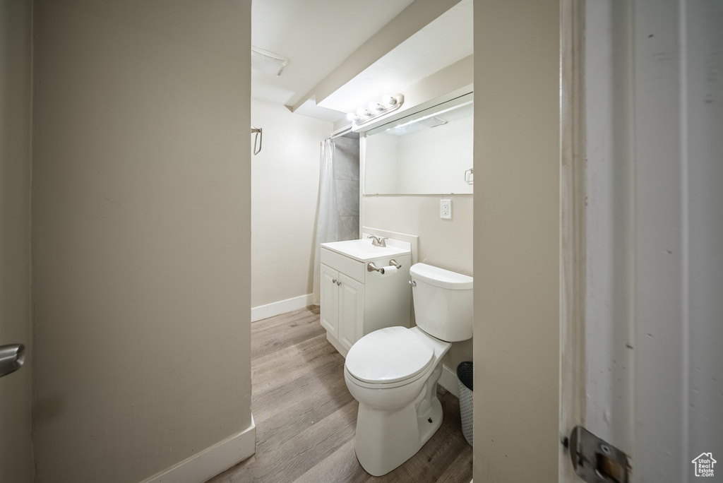 Bathroom featuring vanity, wood finished floors, and a shower with curtain