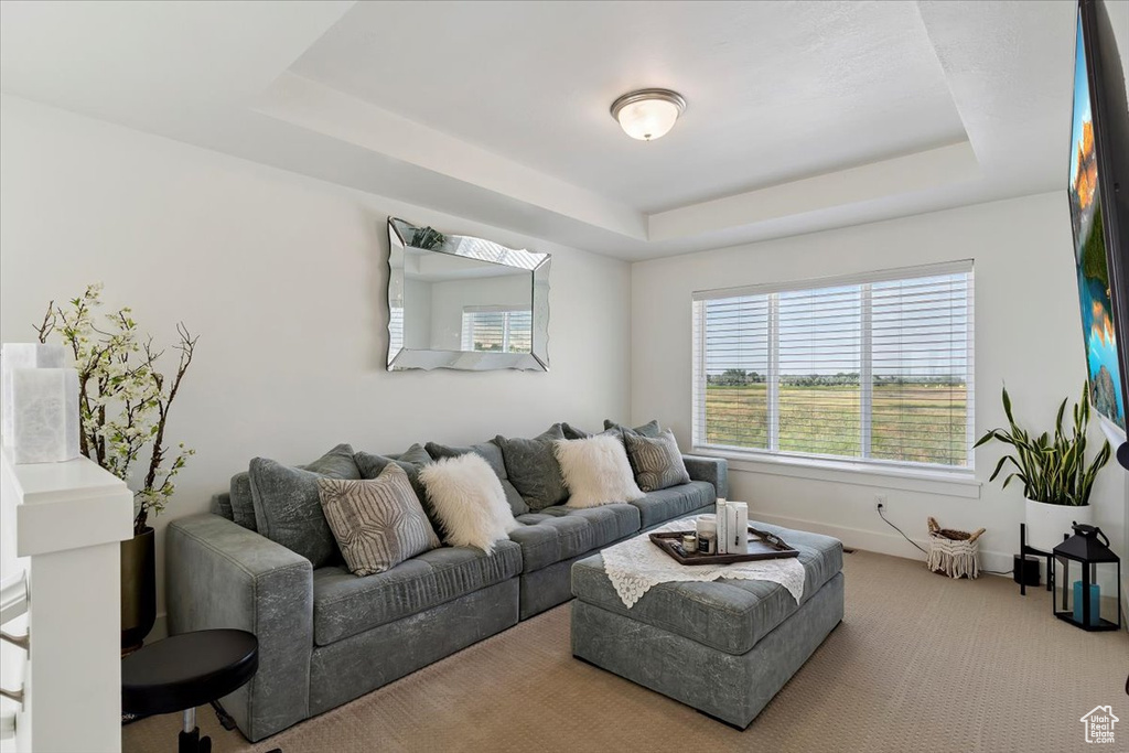 Carpeted living room featuring a raised ceiling and baseboards