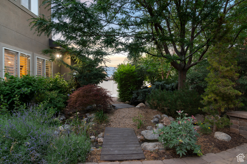 View of yard at dusk