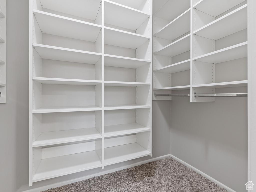 Walk in closet featuring carpet flooring