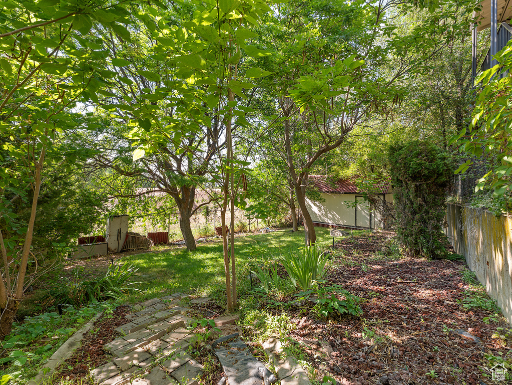 View of fenced backyard
