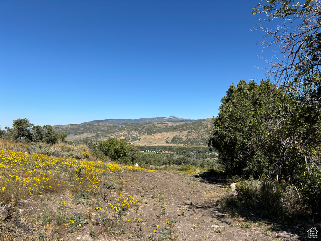 View of mountain backdrop