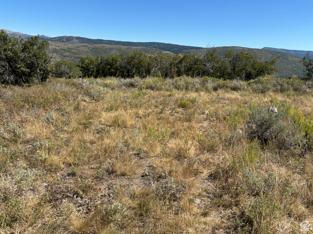 View of mountain background