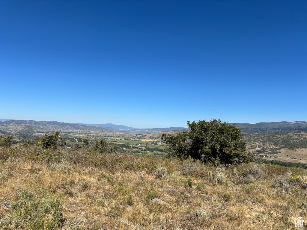 View of mountain background
