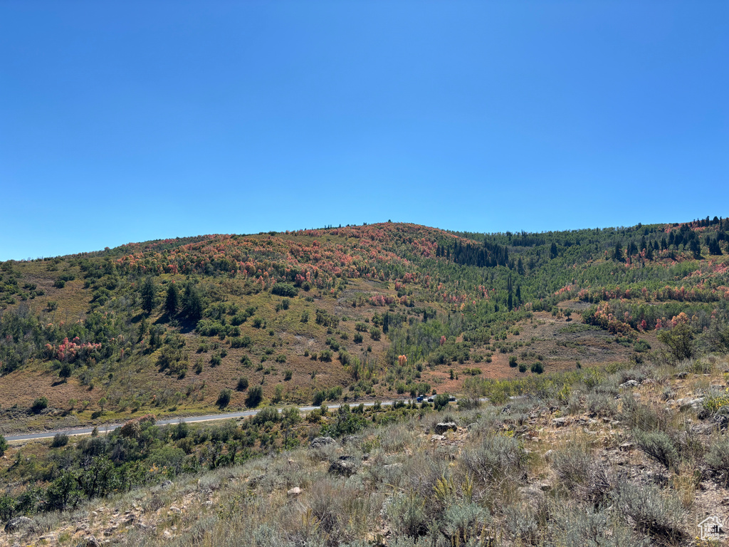 Mountain view