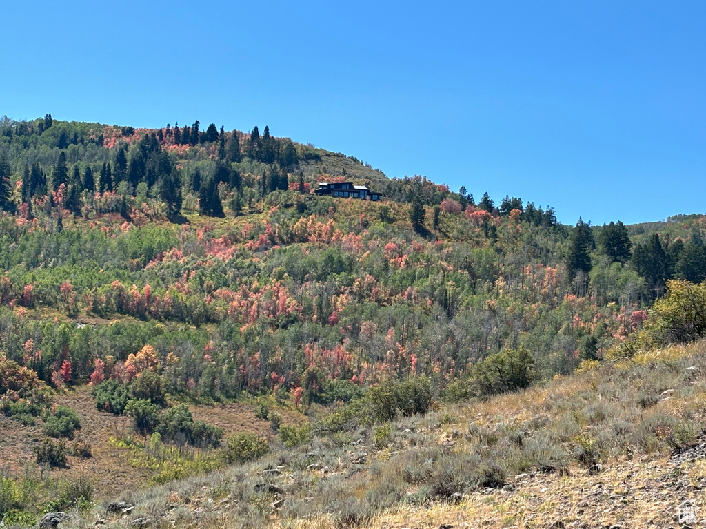 View of mountain backdrop featuring a forest