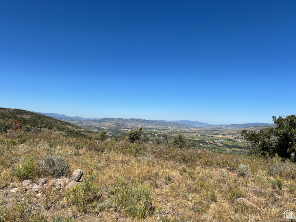 View of mountain background